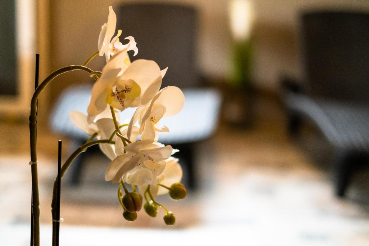 Villa Pino 韦林格勒 外观 照片